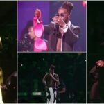 Female Fans Gift Burna Boy Their Bras During His Historic Concert In New York [Video]