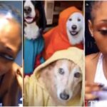Police To Arrest Owners Of Dogs Seen In Viral Videos Having Sεx With Ladies For Money 1