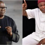 Labour Party Reacts To Emergence Of Another Presidential Candidate After Peter Obi