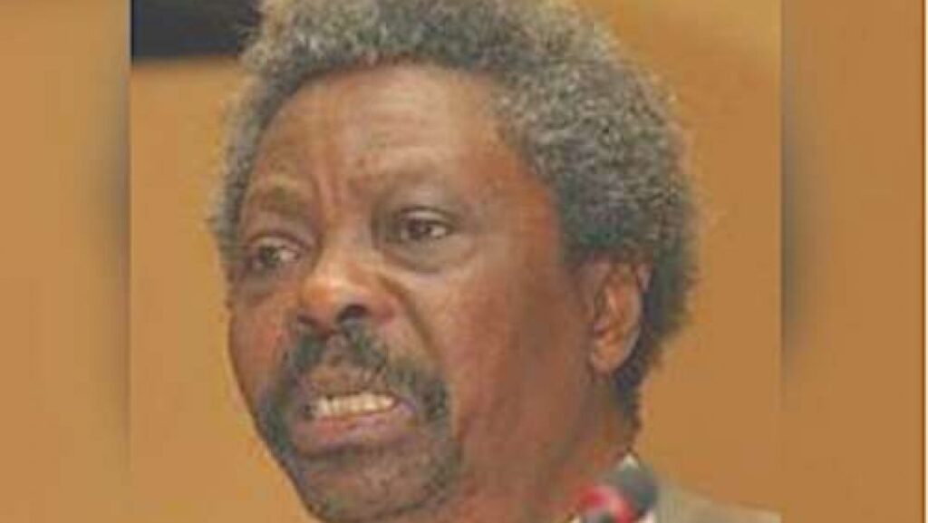 Professor Wole Soyinka’s Brother, Femi Dies At 85