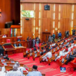 Nigerian Senate Confirms Seven Ministers Nominated By Buhari