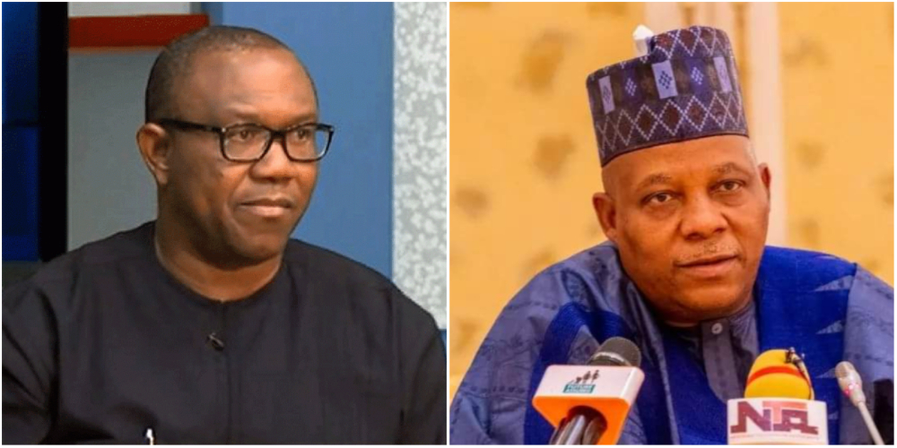 Peter Obi Can Only Become President In Igboland, Not In Nigeria – Kashim Shettima