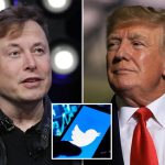 Elon Musk Sacks Top Twitter Executives, Sets To Reverse Life Ban On Donald Trump