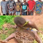 Six Men Arrested For Beating, Stripping A Woman Naked For Picking Snails In Enugu