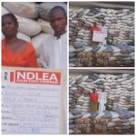 NDLEA Arrests Couple With 273 Bags Of Cannabis In Ogun