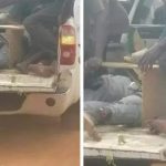 Herdsmen Kill Three To Avenge Killing Of Cows That Destroyed People's Farm In Benue [Photos]