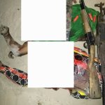 Delta Police Command