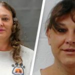 Transgender Woman, Amber McLaughlin