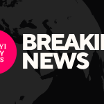 BREAKING: Bomb Explosion Rocks Popular Livestock Market In Yobe