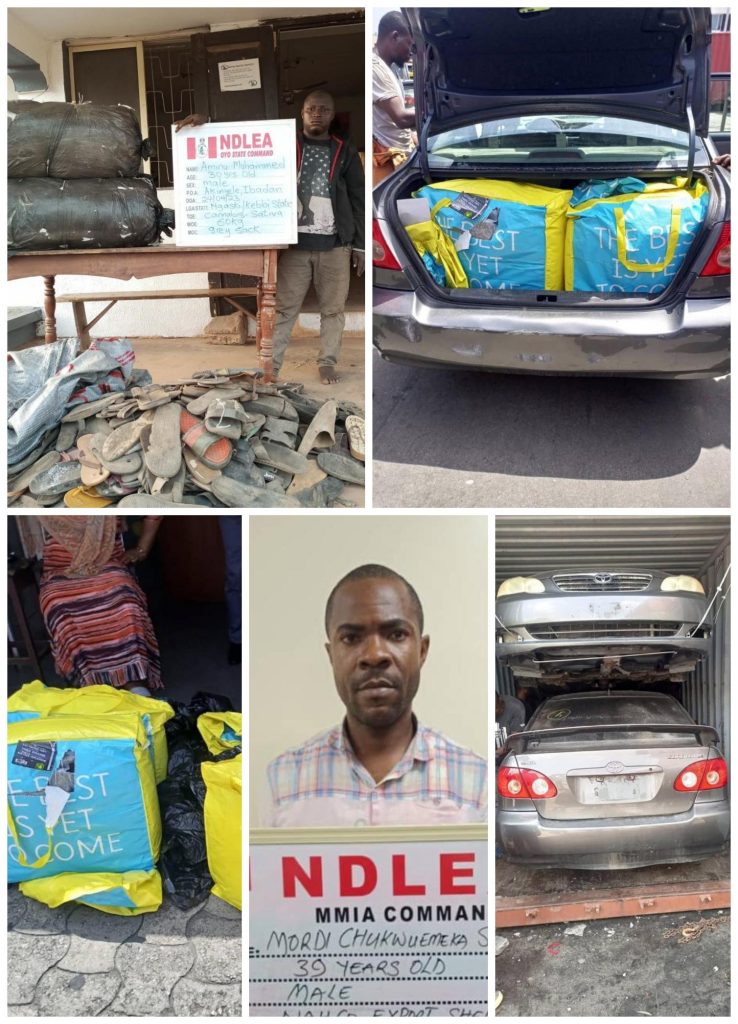 NDLEA Intercepts Drug In Car, Food Items, Arrests Suspect In Lagos 1 Ndlea