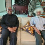 Peter Obi Visits Soyinka To 'Erase Needless Misconceptions’ After Clash With Obidients