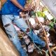 Man electrocuted while vandalising transformer in Kogi 3