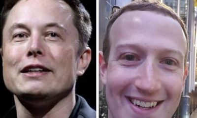 Elon Musk and Mark Zuckerberg Set to Clash in Epic Cage Fight 6