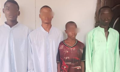 Police Nab Armed Robbery Suspects, Including 13-Year-Old Boy, in Adamawa State 2