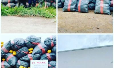 NDLEA Arrests Two Ghanaians With Hard Drugs In Lagos 33