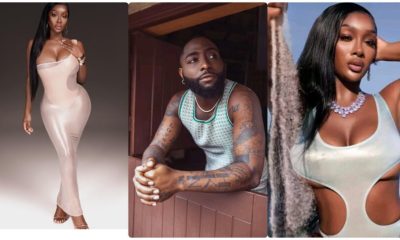"Don’t Judge Me By My Past As Pornstar" - Says Davido’s New Babymama, Anita Brown
