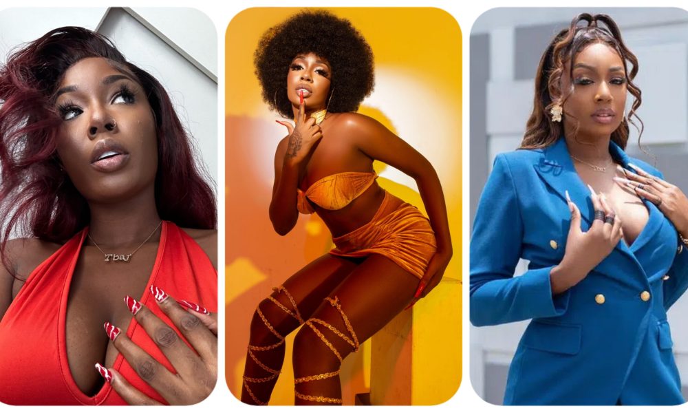 "Skinny Babes Got The Best Pu**y" - BBNaija Star, Tolani Baj Declares