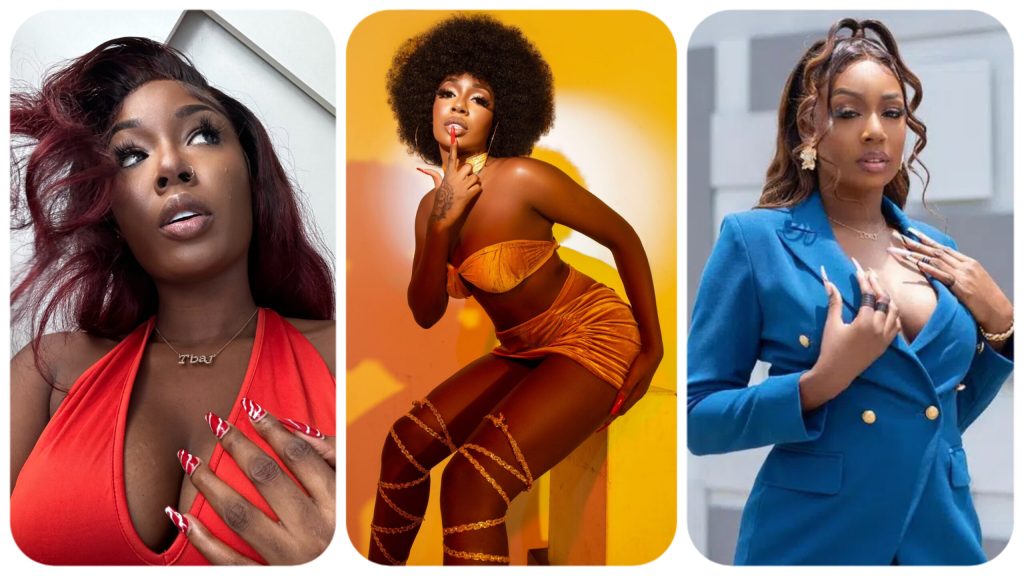 "Skinny Babes Got The Best Pu**y" - BBNaija Star, Tolani Baj Declares