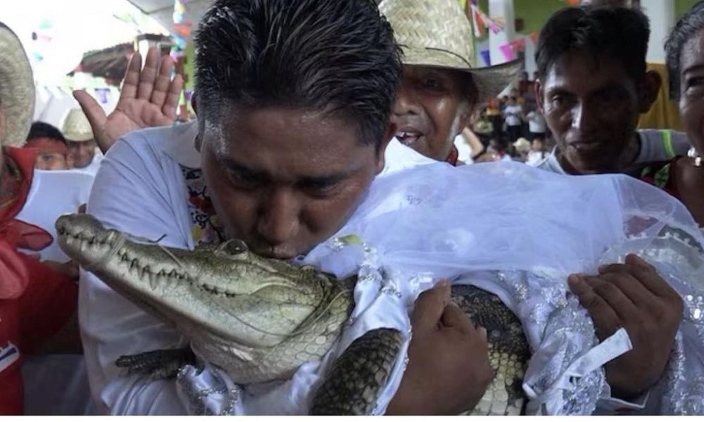 Mexican Mayor, Victor Hugo Sosa Weds Crocodile, Says 'We Love Each Other' 1