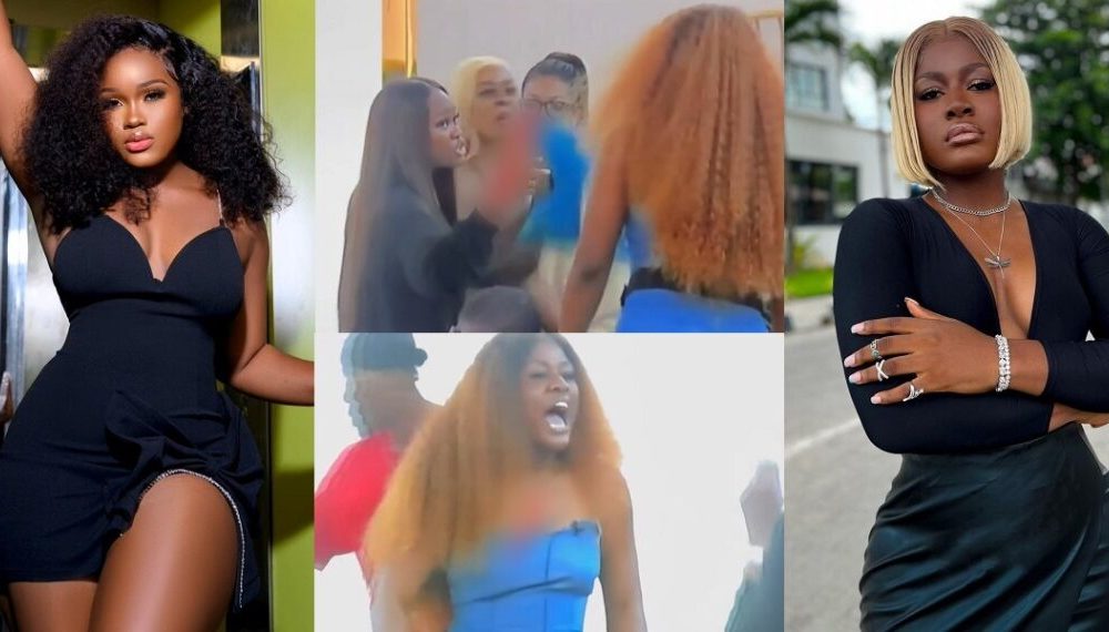 BBNaija All Stars: "You're Very Stupid" – Alex And CeeC Fights Over Wager Task [Video]