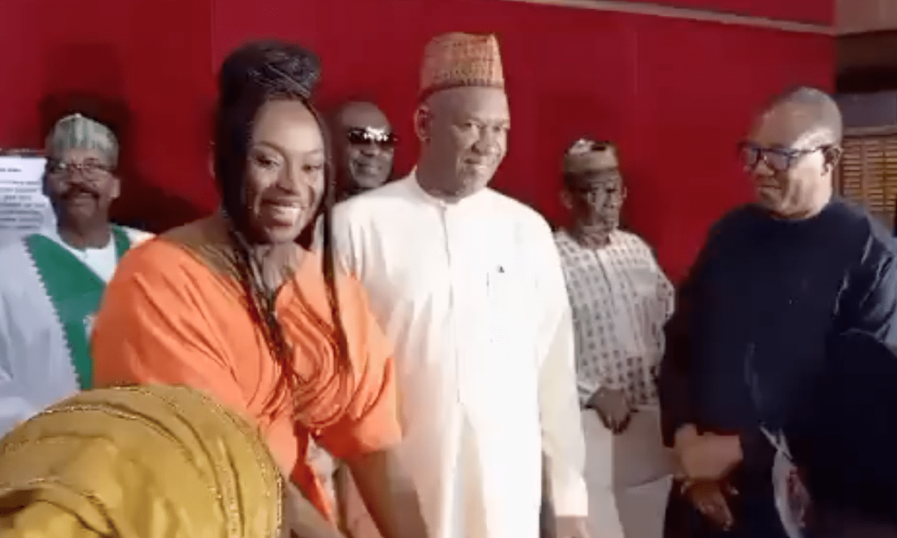 Chimamanda Adichie Joins Peter Obi And Datti-Ahmed At Presidential Tribunal [Video]