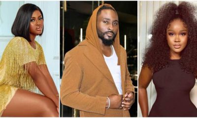 BBNaija All Stars: I want CeeC And Alex To Fight And Get Disqualified – Pere