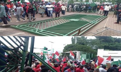 NLC Protesters Pull Down National Assembly Gate, Force Their Way Into Complex [Video]