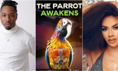 BBNaija All Stars: Big Brother Parrot Exposes Ike’s Plan To Pimp Venita To Big Boys [Video]
