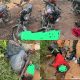Troops Kill 3 Bandits, Recover Arms, Charms, Others In Kaduna 39 Troops Kill 3 Bandits, Recover Arms, Charms, Others In Kaduna 15