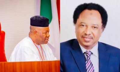 'The Uncommon Senate President'- Shehu Sani Reacts To Godswill Akpabio's Gaffe 15