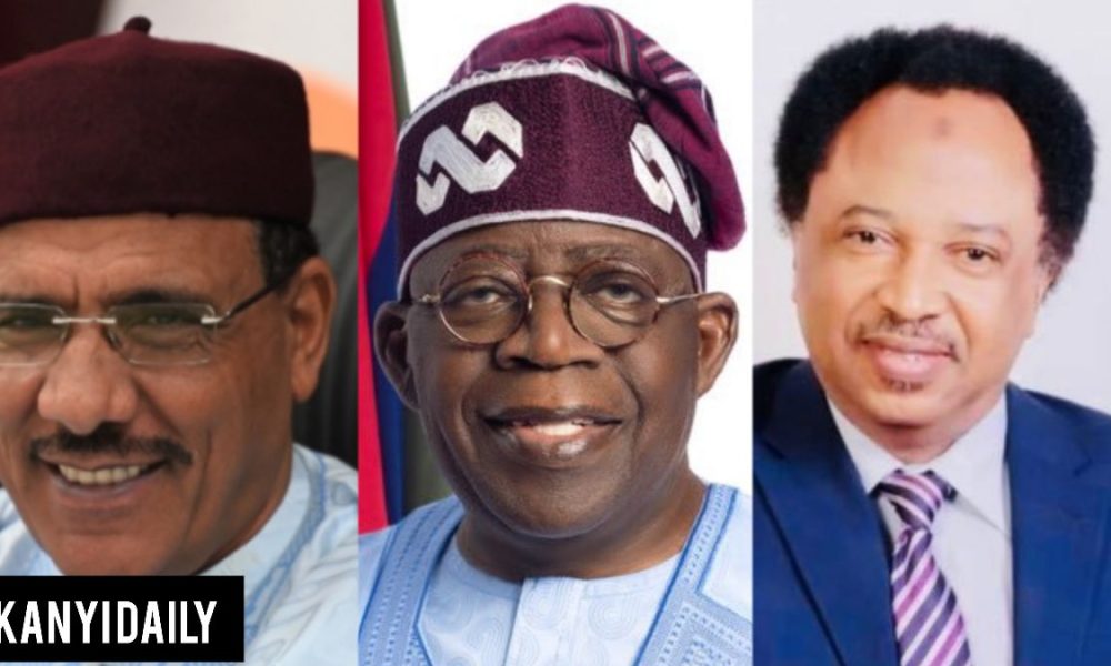 Make Mohamed Bazoum Co-President Of Nigeria - Shehu Sani Tells Tinubu 5