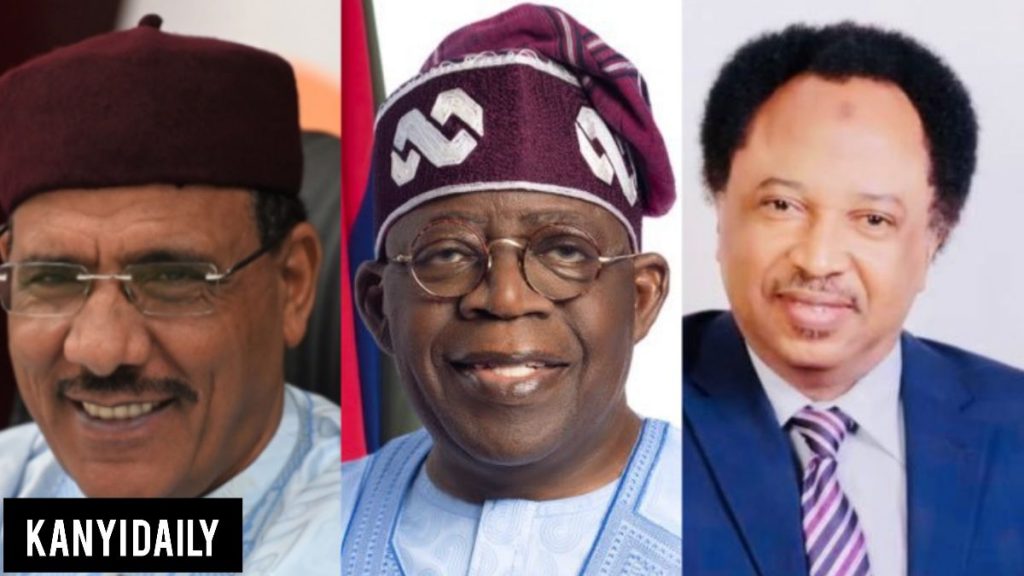 Make Mohamed Bazoum Co-President Of Nigeria - Shehu Sani Tells Tinubu 1
