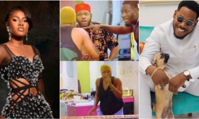 BBNaija All Stars: “It’s Not Funny” – Alex Warns As Frodd Accuses Her Of Farting [Video]