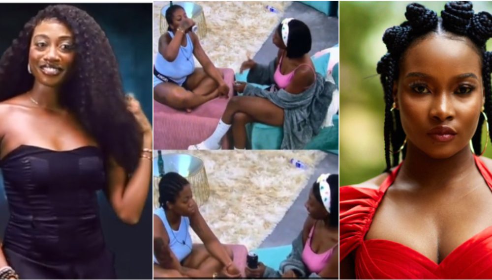 BBNaija: “The Only Things That Matter To Ilebaye Are Men And Alcohol” – Doyin [Video]