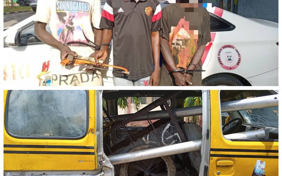 Three Suspected Vandals