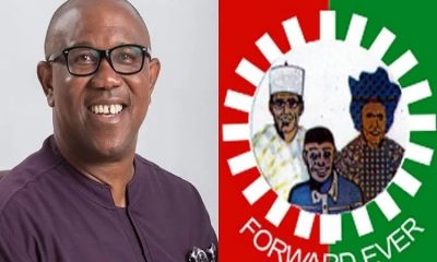 Peter Obi's Campaign Coordinator, Alagoa Morris Dumps Labour Party For PDP