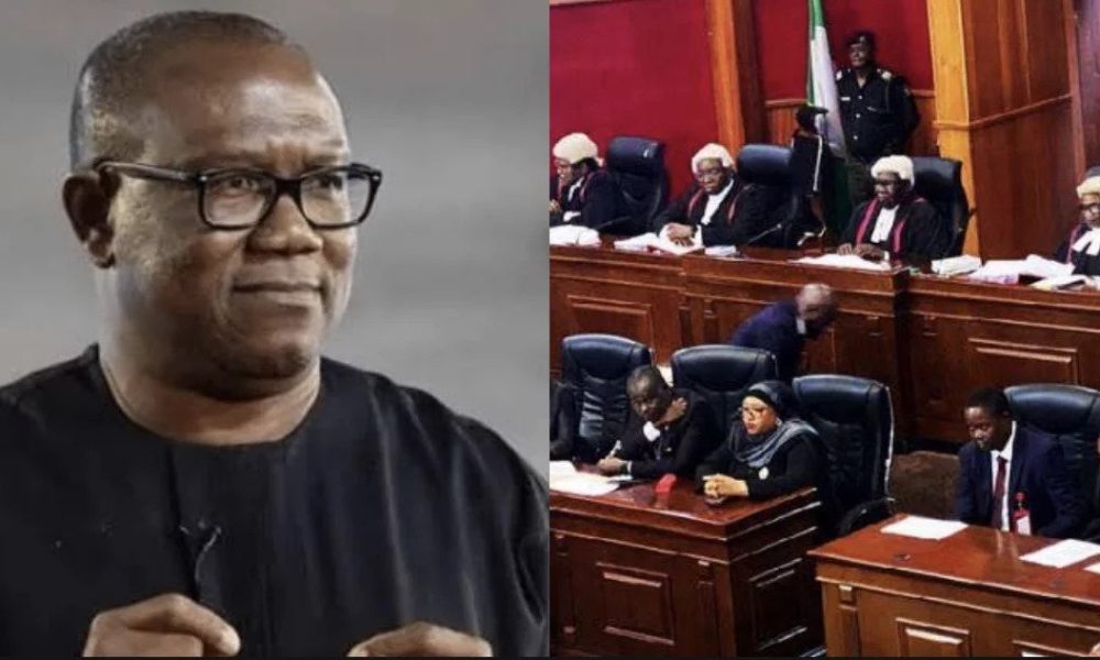 Presidential Tribunal Dismisses APC's Petition Against Peter Obi, Says It's Incompetent