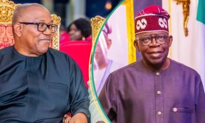 $460k Forfeiture: "Peter Obi Failed To Prove Tinubu Was Convicted" - Tribunal Rules