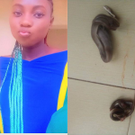 Young lady thanks God for saving her after finding two big snakes in her room - PHOTOS 1