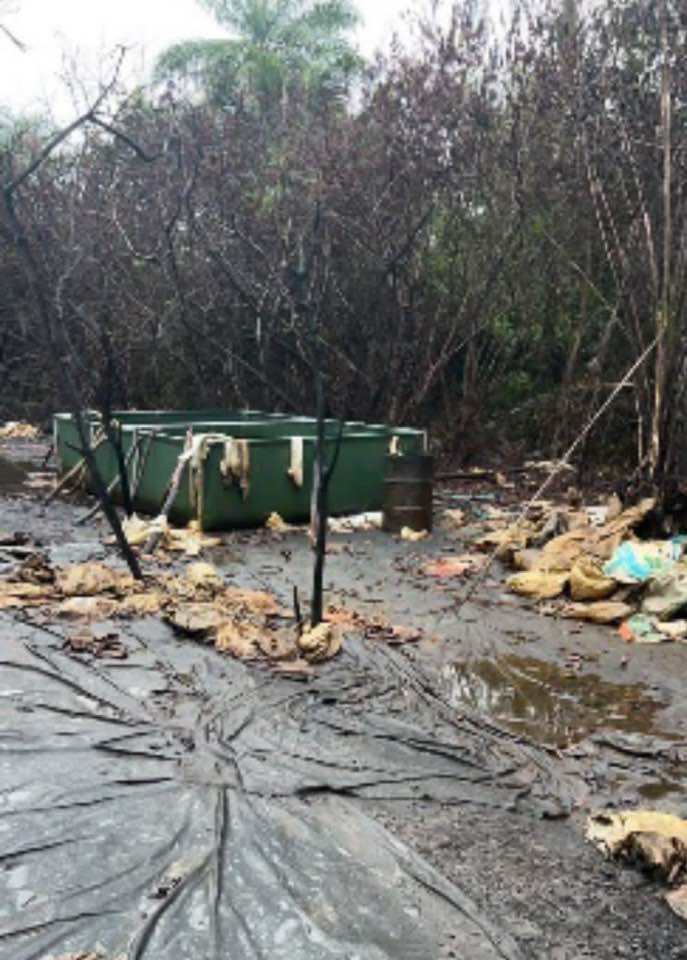 Nigerian Army troops capture Artillery Projectile launchers from IPOB/ESN camp in Anambra, sack oil thieves' hideouts in Imo 30