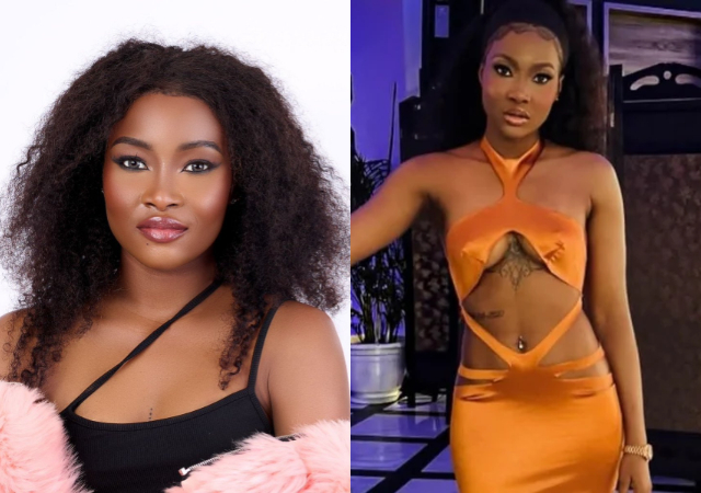 I've Never Dated Any Man, I'm Not Ready For Serious Relationship - BBNaija's Ilebaye [Video]