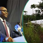 A private aircraft carrying Nigeria's Minister of Power, Adebayo Adelabu, and his team, crash-landed in Ibadan, Oyo State.