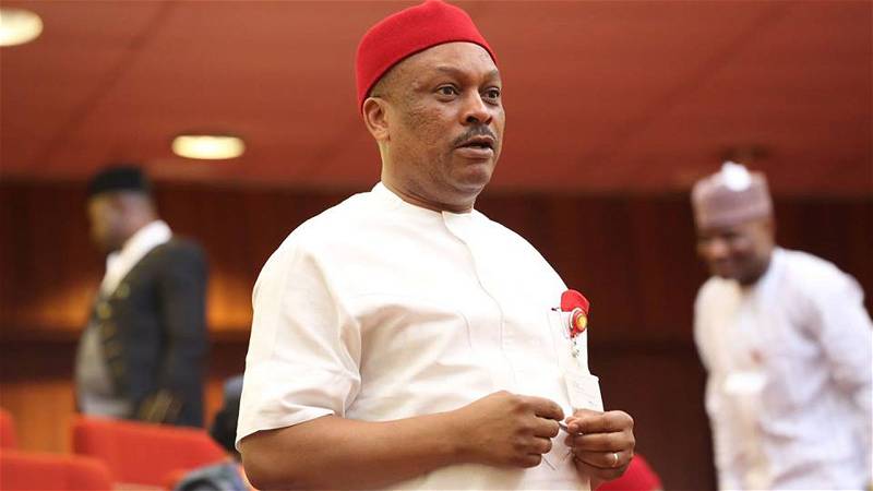 Anyanwu Vows To Address Insecurity, Unemployment If Elected As Imo Governor