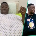 “I’m Sorry, I Lied" – Mr Ibu’s Wife, Stella Maris Makes U-Turn, Apologizes To AGN