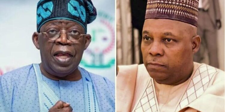 Shettima Praises Tinubu Administration's Drive For Economic Transformation