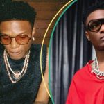 Wizkid Reportedly Paid $24.5 Million To Perform In Saudi Arabia