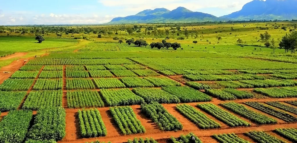 Climate Resilience solutions with Significant Impact