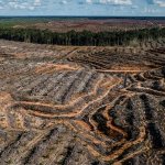 Strengthening Nigeria's Climate Resilience: 6 Simple Solutions with Significant Impact 1