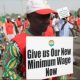 FULL LIST: ASUU, TCN, 30 Other Unions Join NLC Strike Over New Minimum Wage