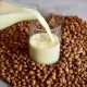 Unregistered Tiger Nut Drinks Caused Lagos Cholera Outbreak, Death Toll Rises To 24